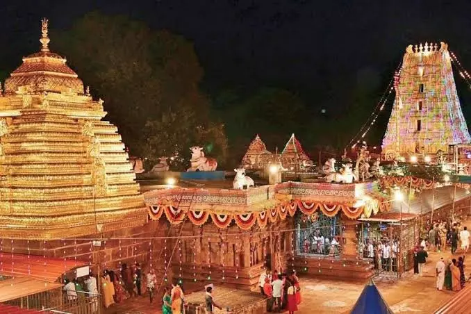 Python causes panic among devotees at Srisailam