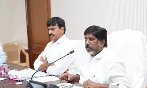Govt to check options to raise revenue: Bhatti
