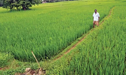 Bangladeshi Delegation Impressed by Elurus Natural Farming Practices