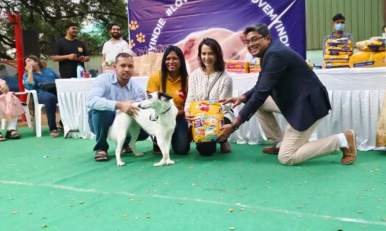Blue Cross of Hyderabad Hosts Successful #LoveMyIndie Dog Show