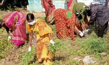 GWMC, Jagtial Staff Stage Dharna for Salaries