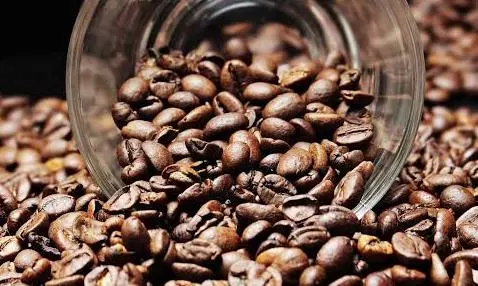 Six Destinations Coffee Connoisseurs Should Visit Six Destinations Coffee Connoisseurs Should Visit