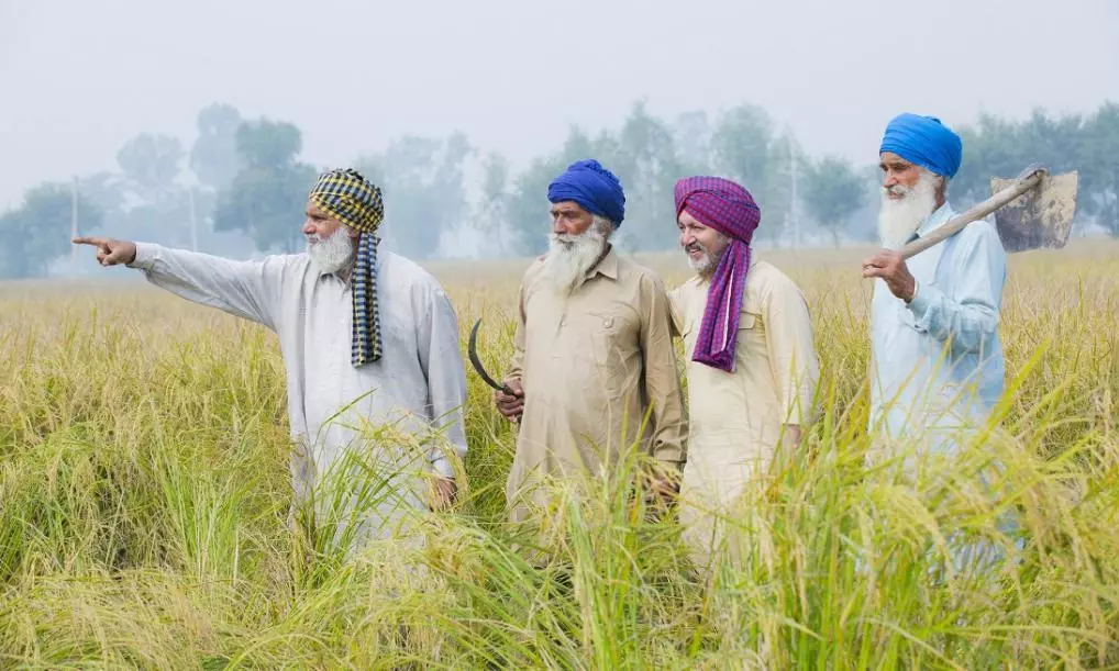 NGT Directs Punjab Govt to Revise Stubble Burning Action Plan