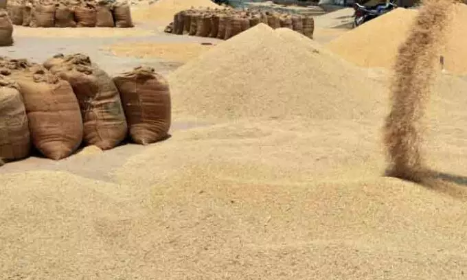 Rice Mills Face Crackdown for Failing to Deliver to FCI