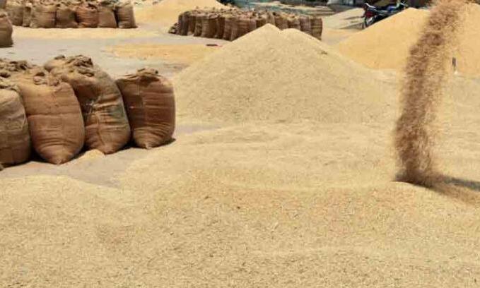FCI Detects Spoiled Rice in CMR