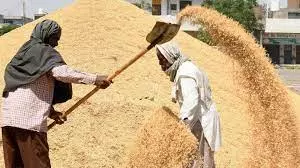 Rice Worth 100 Crore Misappropriated During BRS Rule Rice Worth 100 Crore Misappropriated During BRS Rule