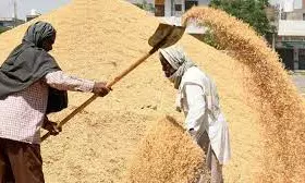 Rice Worth 100 Crore Misappropriated During BRS Rule
