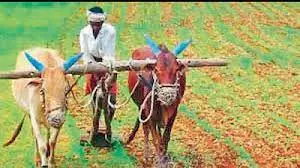 Rs 3,246 Crore Rythu Bandhu Remitted to 54.6 L Farmers