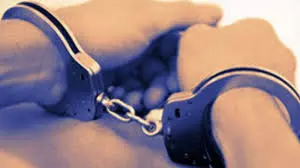 CEO Of Consultancy Firm Arrested For Fraud CEO Of Consultancy Firm Arrested For Fraud