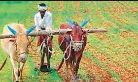 Rs 3,246 Crore Rythu Bandhu Remitted to 54.6 L Farmers