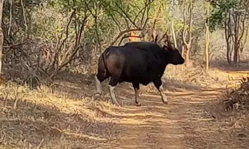 Gaur on walkathon, leaves Telangana, crosses Krishna, enters AP
