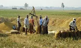 Kamareddy: 68.93 lakh of Lingampet PACS misappropriated