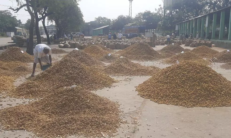 Nizamabad Market Sees Increase in Turmeric Arrivals