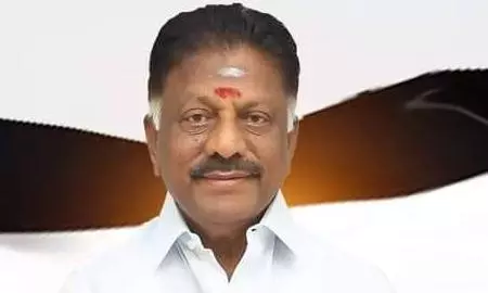 Poll Preparations Pick up Momentum Poll Preparations Pick up Momentum