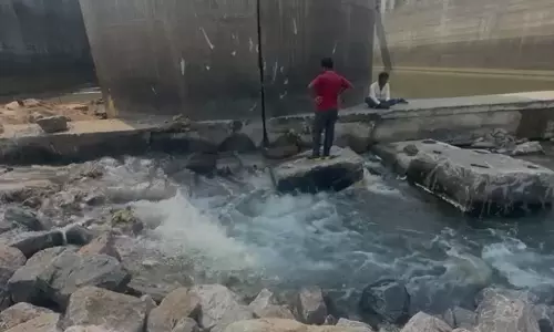 NDSA team to visit Telangana to examine barrages