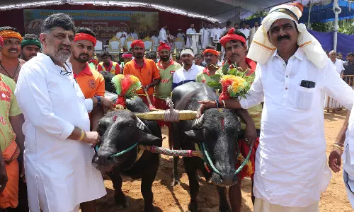 Upcoming Parliament Polls: Congress Confident of Winning 20 Seats in Karnataka, Says DK Shivakumar