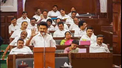 DC Edit | TN budget tries to please all DC Edit | TN budget tries to please all