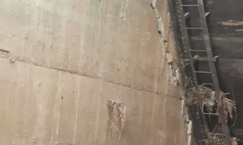 Damaged Portions of Block 7 at Medigadda Barrage May Have to Be Rebuilt