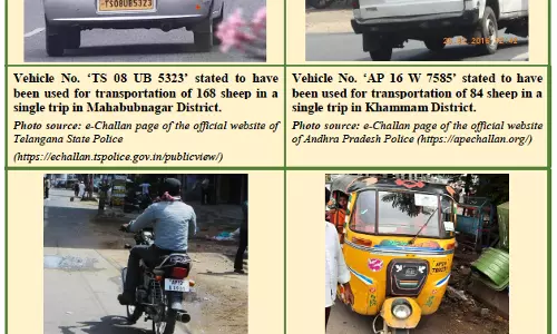 BRS Government Officials Pulled Wool Over Sheep Scheme Corruption