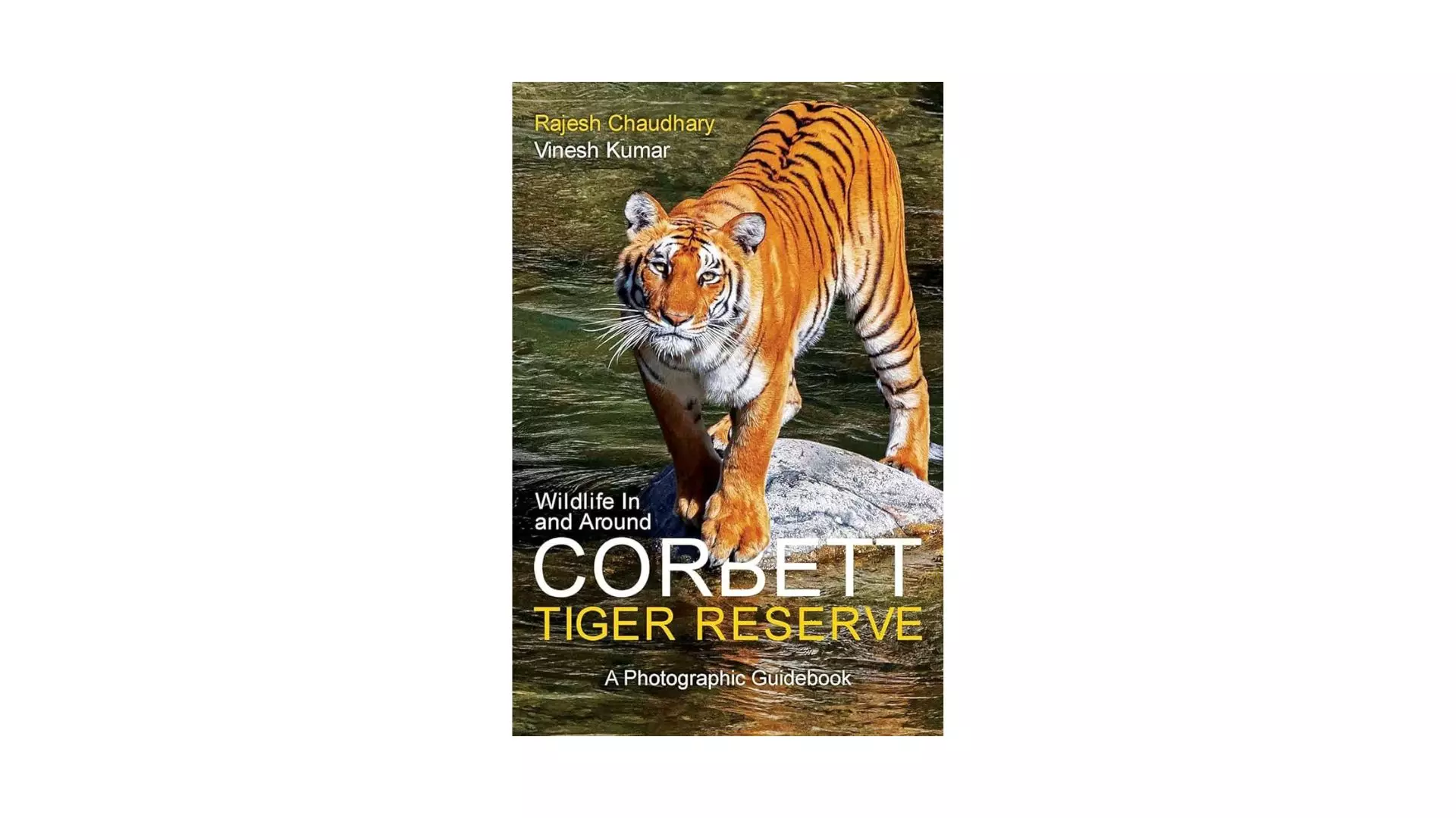 Why not seeing a tiger at Corbett no disaster Why not seeing a tiger at Corbett no disaster