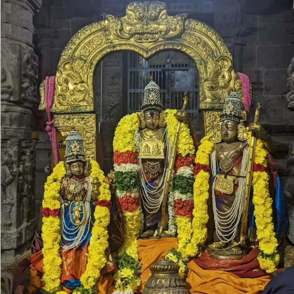 Tirupati: Kalyana Venkateswara Rides His Simha Vahanam