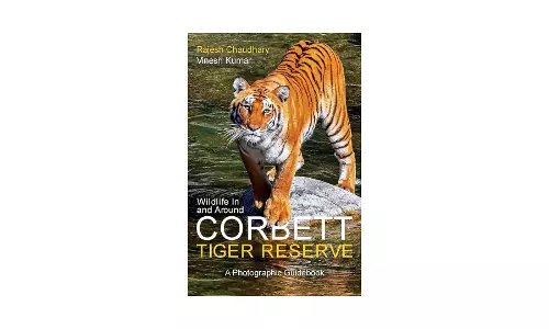 Why not seeing a tiger at Corbett no disaster