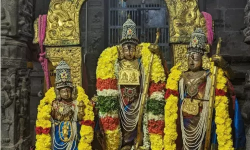 Tirupati: Kalyana Venkateswara Rides His Simha Vahanam