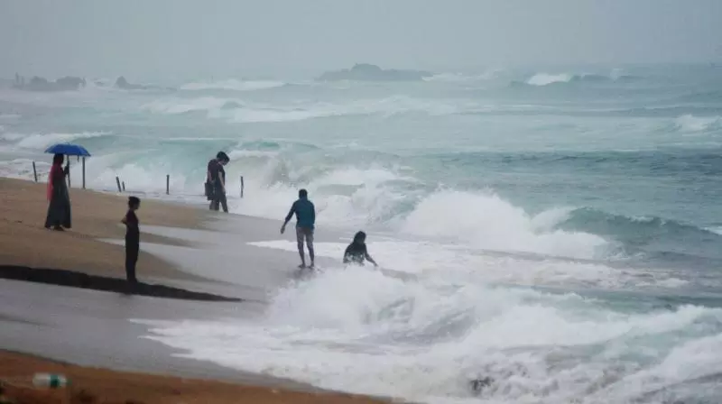 Rare Giant Fish Washes Ashore in Srikakulam