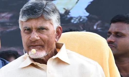 Volunteer System will be Continued, Promises Naidu