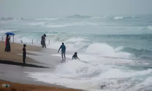 Rare Giant Fish Washes Ashore in Srikakulam