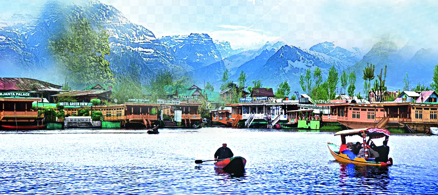 Creative Waves From The Valley