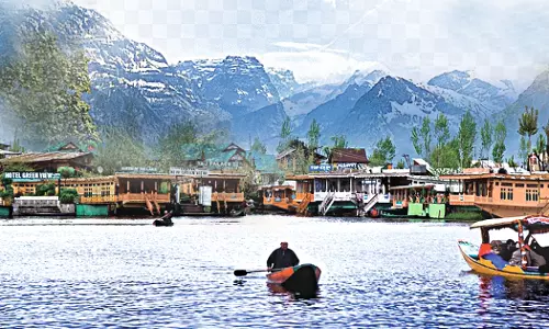 Creative Waves From The Valley