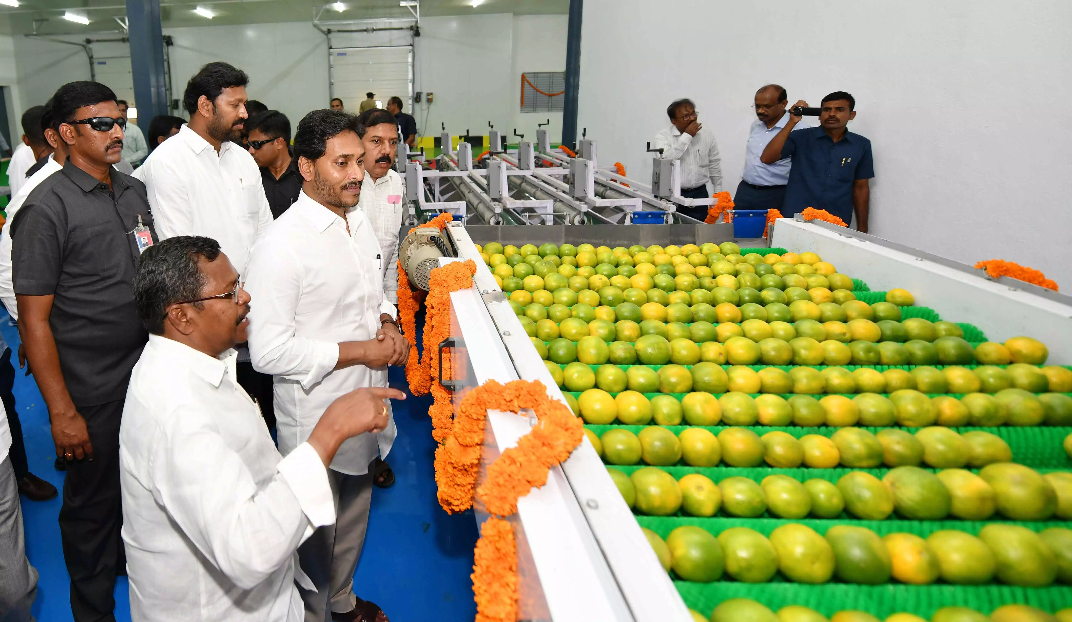 Jagan inaugurates AP’s first banana pack house