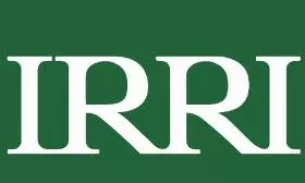 IRRI Agrees to Join Global Rice Summit