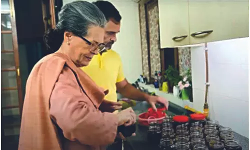 Natty netas learn social media tricks