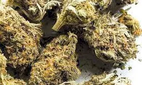 Ganja Smuggling Gang Busted: 6 Arrested with Cash & Phones Ganja Smuggling Gang Busted: 6 Arrested with Cash & Phones