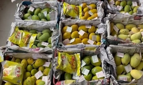 Two Fruit Vendors Held for Adding Ethylene to Ripen Mangoes