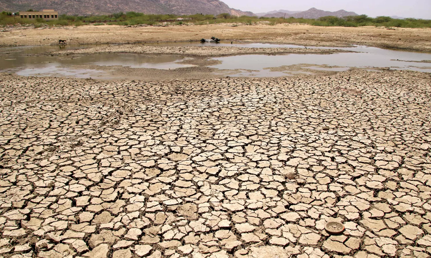 Planet on the brink, with new heat records likely in 2024: UN