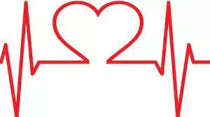 Experts Warn Gym Goers of Cardiac Risks During Summer Experts Warn Gym Goers of Cardiac Risks During Summer