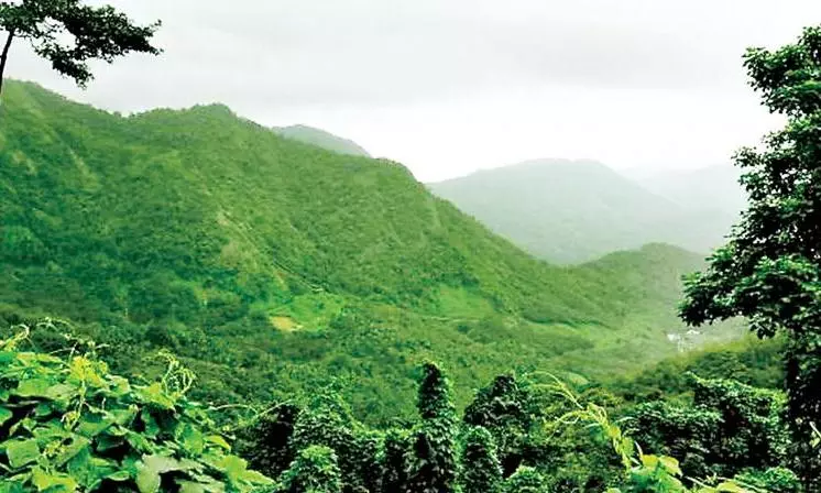 Telangana Forest Land to Increase by 8.5 per cent Telangana Forest Land to Increase by 8.5 per cent