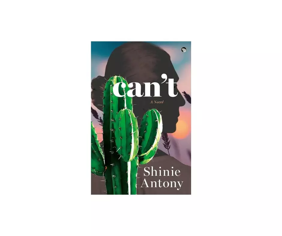 Book Review | An old woman’s odd quest to find her co-wives