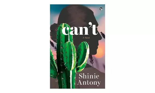 Book Review | An old woman’s odd quest to find her co-wives