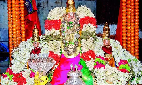 Captivating Kalyanotsavams Draw Devotees to Ahobilam