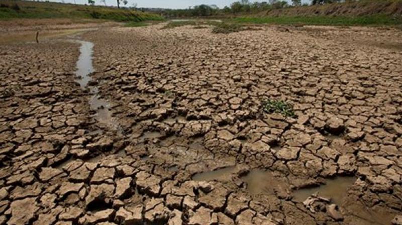 Karnataka Records 35% Rainfall Deficit as Weak Monsoon Raises Drought Fears
