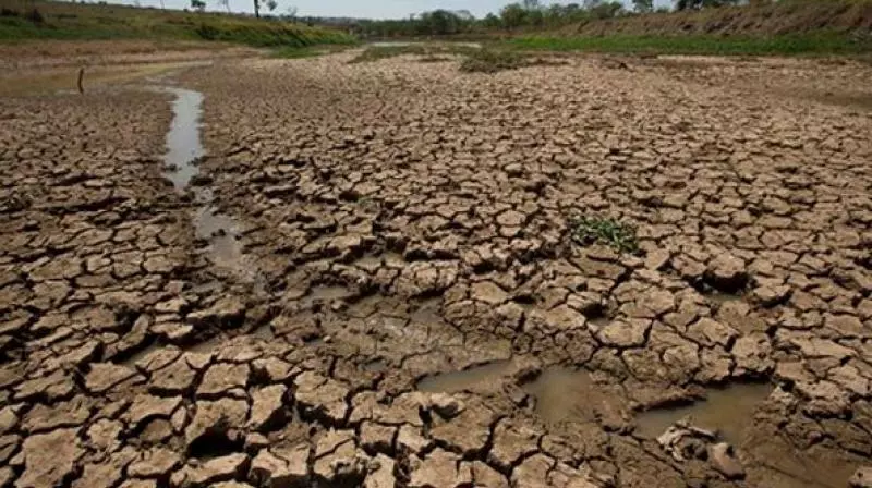 Drought becomes poll issue after 20 yrs in TS