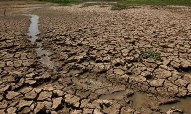 Farmer Unions Ask Telangana Govt to Declare Drought in State