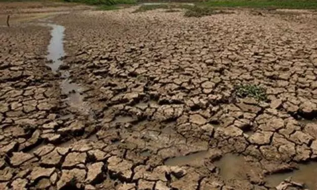 Farmer Unions Ask Telangana Govt to Declare Drought in State Farmer Unions Ask Telangana Govt to Declare Drought in State