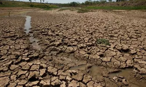 Drought becomes poll issue after 20 yrs in TS