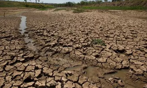 Drought Conditions Prevalent In Some Areas of Godavari Districts