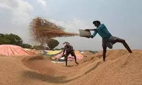 Civil Supplies to Open 7,149 Centres to Buy Paddy